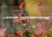 365足球外围网一种新的体育博彩平台的崛起