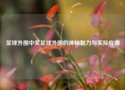 足球外围中奖足球外围的神秘魅力与实际应用