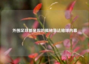 外围足球都是假的揭秘非法赌球内幕