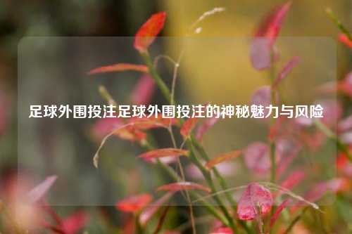 足球外围投注足球外围投注的神秘魅力与风险