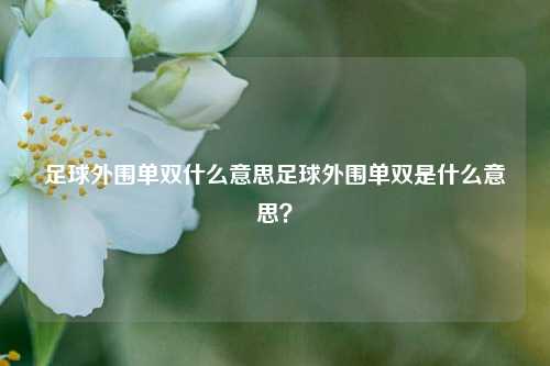 足球外围单双什么意思足球外围单双是什么意思？