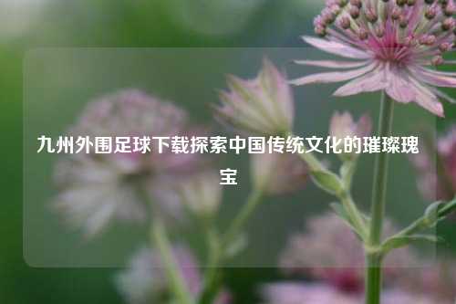 九州外围足球下载探索中国传统文化的璀璨瑰宝