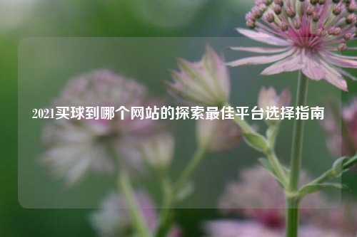 2021买球到哪个网站的探索最佳平台选择指南