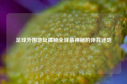 足球外围地址揭秘全球最神秘的体育迷地