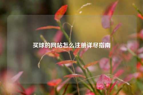 买球的网站怎么注册详尽指南