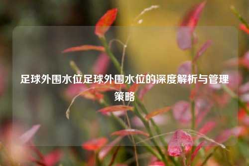 足球外围水位足球外围水位的深度解析与管理策略