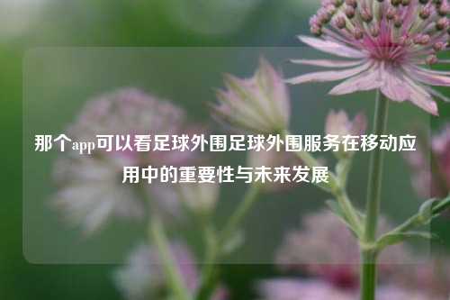 那个app可以看足球外围足球外围服务在移动应用中的重要性与未来发展