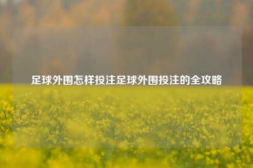 足球外围怎样投注足球外围投注的全攻略