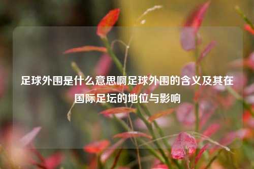 足球外围是什么意思啊足球外围的含义及其在国际足坛的地位与影响