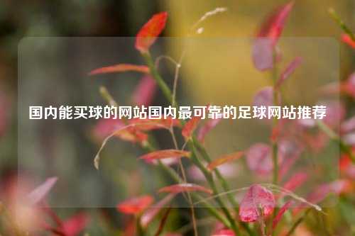 国内能买球的网站国内最可靠的足球网站推荐