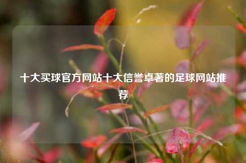 十大买球官方网站十大信誉卓著的足球网站推荐