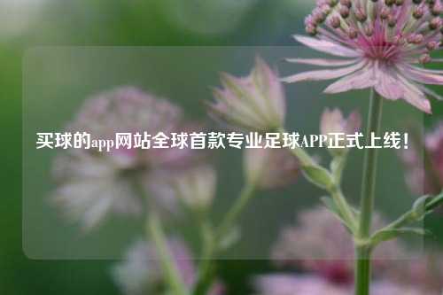 买球的app网站全球首款专业足球APP正式上线！